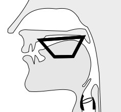 Image of vowel space trapezoid in mid-saggital drawing of vocal tract.